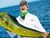 island hopping charter business