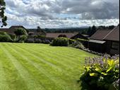 established lawn care business