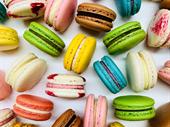 bakery company newcastle upon