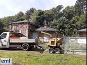 established arborist landscaping business