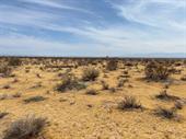 plot of land available