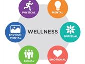 hands free amazon wellness