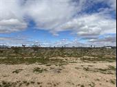 plot of land available