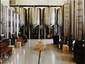 chicagoland craft brewery w