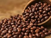 established coffee roaster distribution