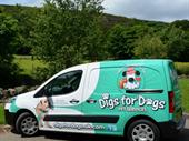 pet sector franchise opportunity