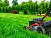 profitable lawn service loyal