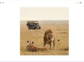 turn-key travel agency with