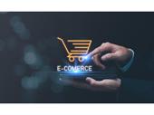 highly profitable shopify e-commerce