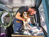 absentee mobile petgrooming 7