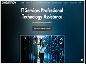 well respected it management