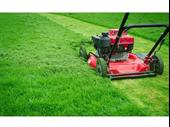 highly rated garden services