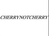 ecommerce clothing business for