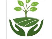 newly established garden maintenance
