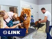 premium dog grooming salon