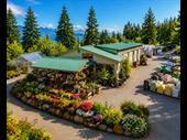 29 year garden centre