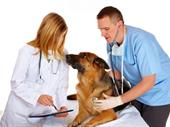 loyal clients one doctor