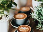 established café intimate restaurant