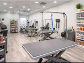 high-margin pet grooming salon
