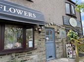 bloom into business established