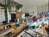 dog groomers for sale