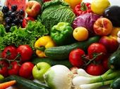 fruit vegetables outlet for