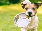 established pet supply food