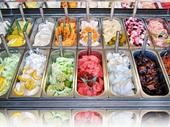 premium dessert gelato business