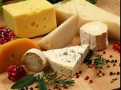 cheese manufacturing distribution retail