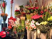 florist pascoe vale--1p10961 for