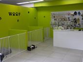 premium dog grooming daycare