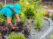 outdoor garden supplies business