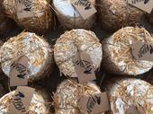 gourmet urban mushroom farm