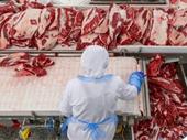 sydney meat wholesalers 36