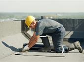 colorado springs service business
