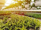 horticulture nursery agriculture businesses