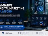 digital marketing agency portfolio