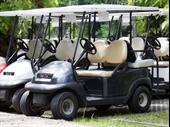30 yr est golf