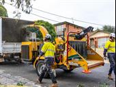 vegetation maintenance municipal contractor