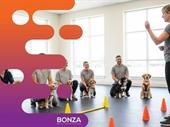 36379 dog day-care grooming