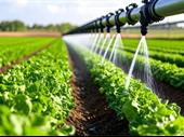 established irrigation pumping business