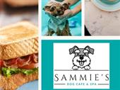 dog cafe spa moonee