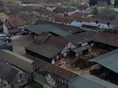 premium dairy farm
