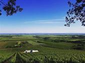 wine estate hospitality tourism