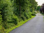 paving sealcoating company east