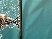 well-established window cleaning with