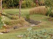 garden service north durban