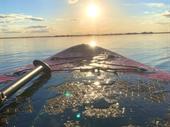 inflatable paddleboard outdoors business