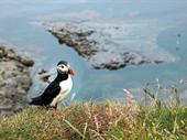 long-established marine tourism business