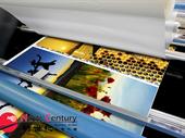 print copy shop courier